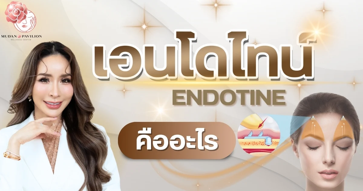 What is Endotine